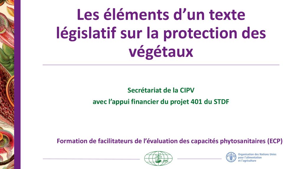 Les L Ments Dun Texte L Gislatif Sur La Protection Des V G Taux Ppt